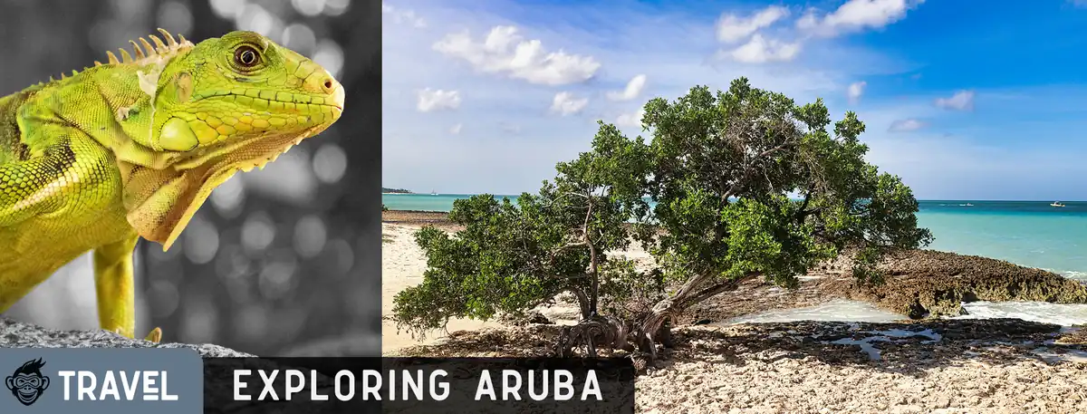 Exploring Aruba | Divi Village
