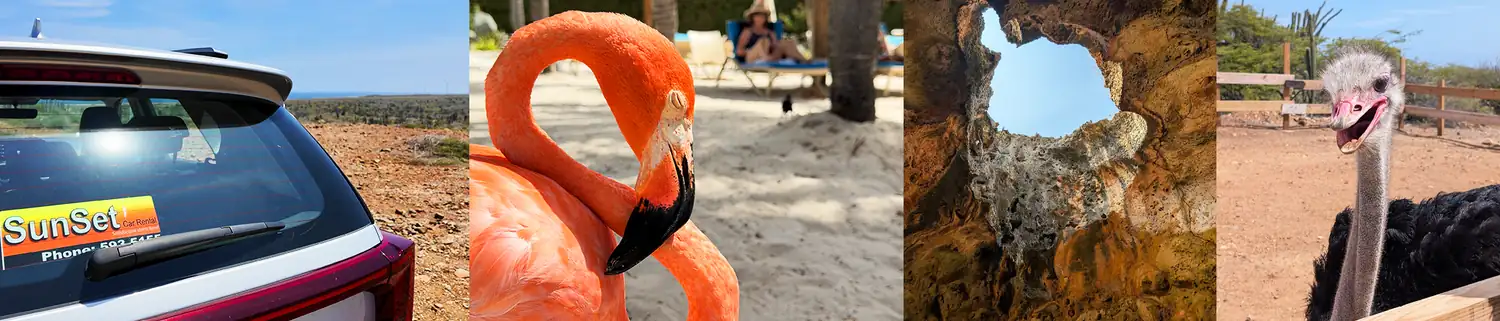 Aruba Activities
