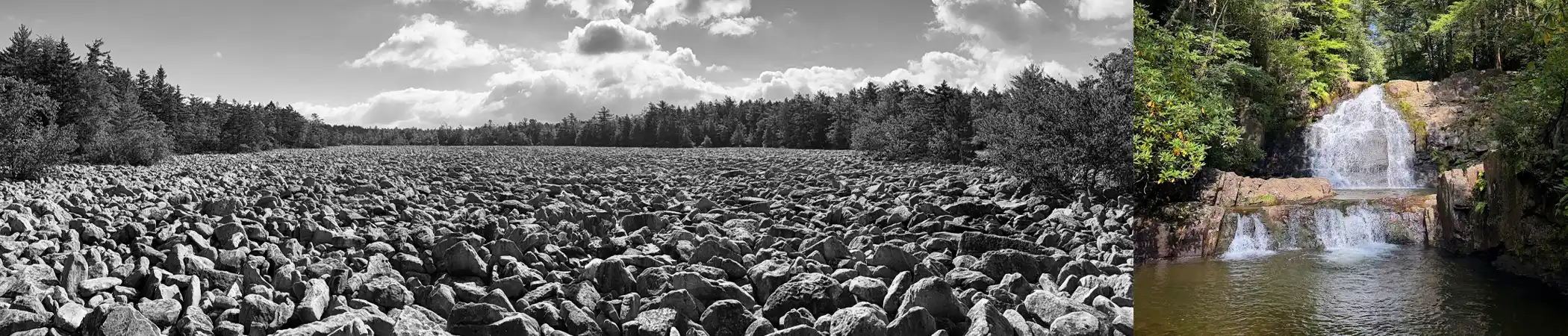 Boulder Field at Hickory Run State Park