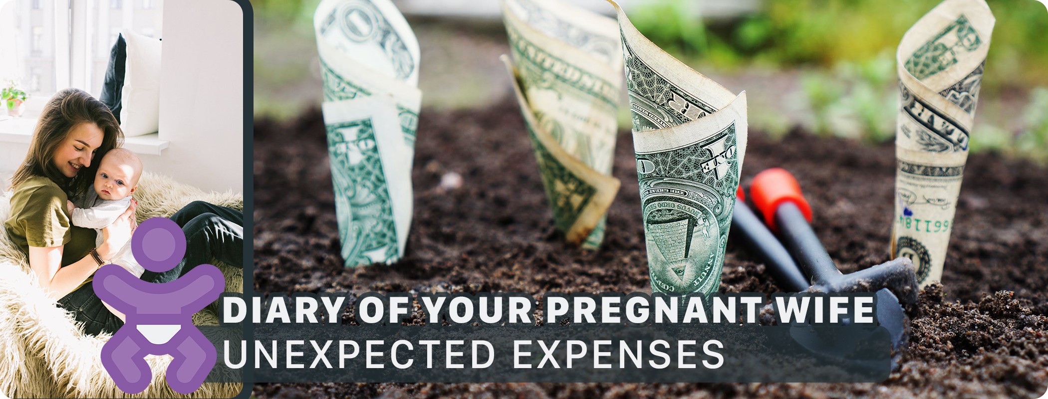 Diary of your pregnant wife - expenses