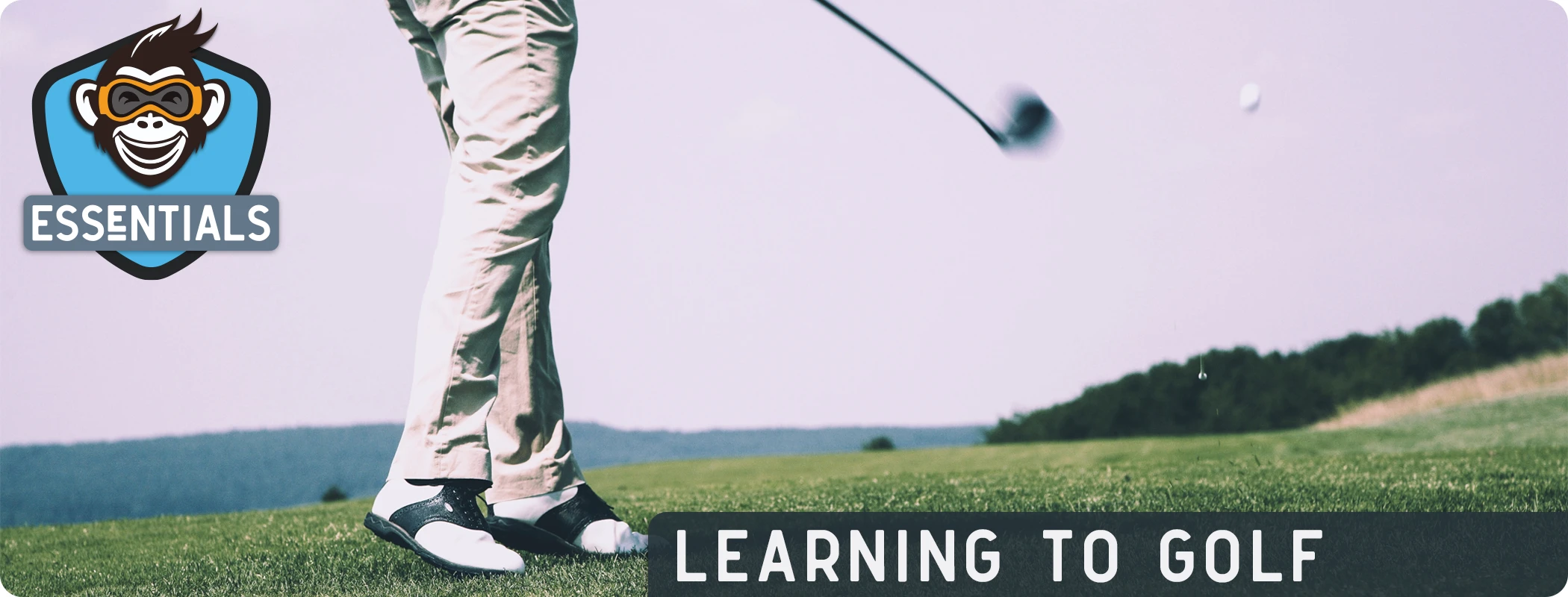 Learning to Golf Essentials