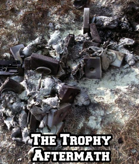 The Burnt Trophies