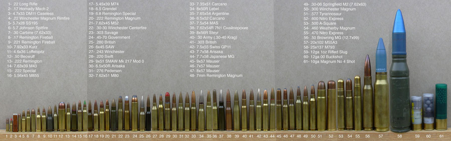Common Rifle Ammo Sizes