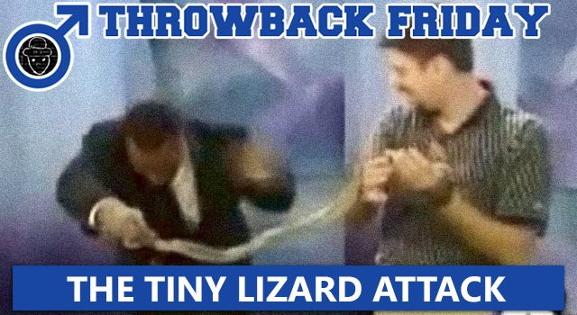 Throwback Friday: Tiny Lizard Attacks Reporter