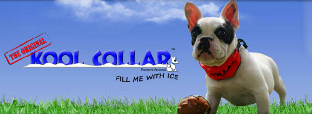 koolcollar