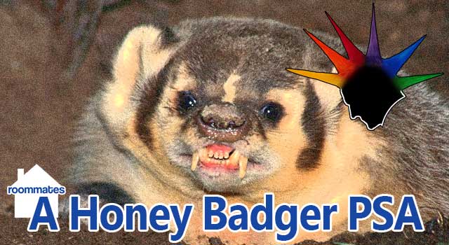 Roommates: Honey Badger PSA