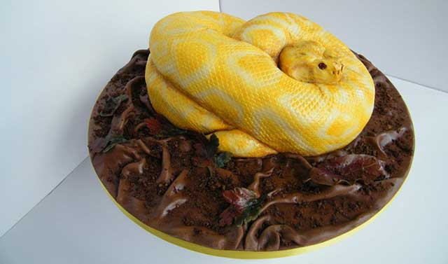snakecake1
