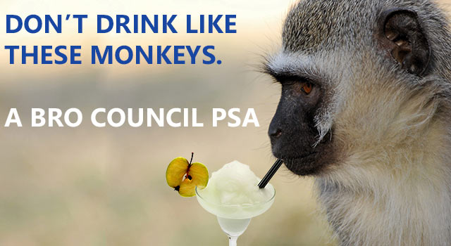 Don't Be Like These Drunk Monkeys