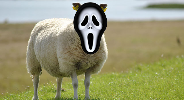 The Screaming Sheep