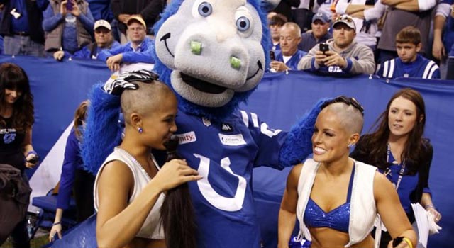Colts Cheerleaders Shave Heads