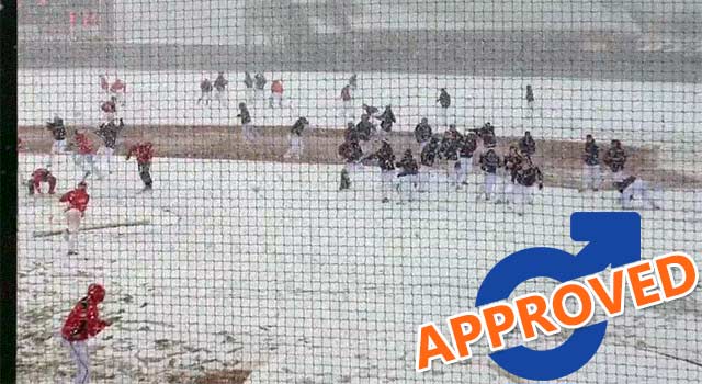 Snowball Fight Breaks Out At College Baseball Game