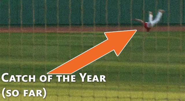 Baseball Catch Of The Year (So Far)