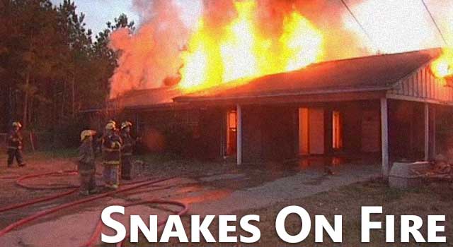 Snake Set On Fire - Snake Burns House Down