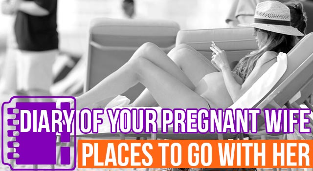 Diary Of Your Pregnant Wife: Summer With Your Pregnant Wife