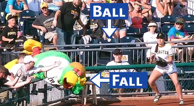The Pirate Parrot Goes For A Foul Ball; Falls Over Railing