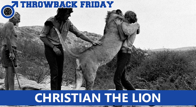 Throwback Friday: Christian The Lion